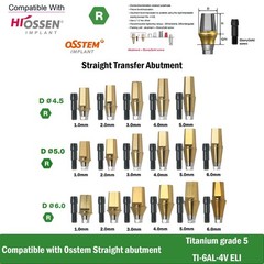 US Titanium Straight Abutment Hex For Hiossen ET Osstem TS Mini Regular Platform