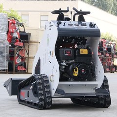13.5HP Mini Track Skid Steer Loader, 2-Cylinder Gas Engine, USA Free Shipping