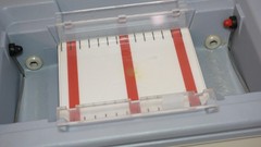 GIBCO BRL HORIZON HORIZONTAL GEL ELETROPHORESIS SYSTEM 11-14 11068-12