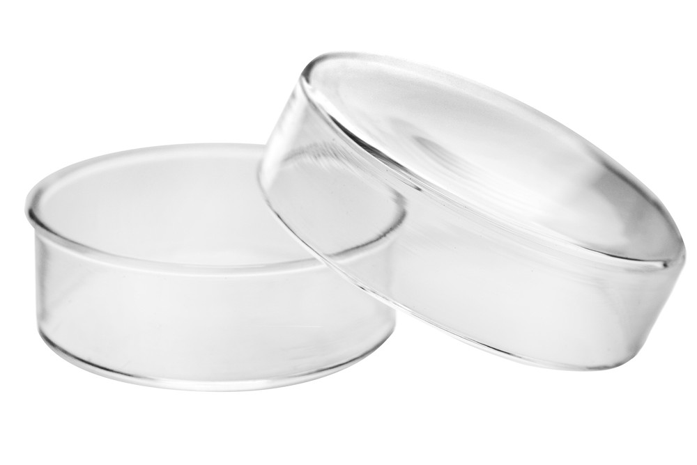 Eisco Labs 2″ (50mm) Petri Dish with Beaded Edges – Borosilicate Glass