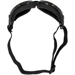 Birdz Eyewear Eagle Motorcycle Goggles (Black Frame/Smoke Lens)