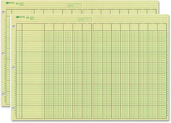 2 Pack – NATIONAL Analysis Pad, 13 Column, Green Paper, 11 X 16.375″, 100 Sheets