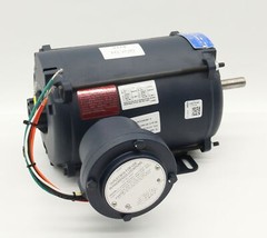 Leeson Electric Explosion Proof Motor 1/3 HP