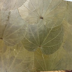 Handmade Costa Rica Journal Large 14×11¾ Butterfly Leaf Cover Eco Artisan Book