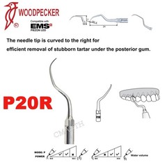 Woodpecker Dental Scaler Tips Ultrasonic Scaler Periodontics Tips Dentistry Tool