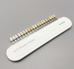 Ivoclar Vivadent Dental Teeth Shade Guide A-D 20 Colors Porcelain Color Chart