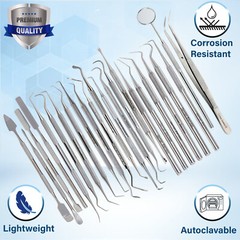 GERMAN 24x Dental Tools Set Dentist Teeth Clean Plaque&tarter Remove Probe Picks