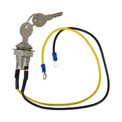 Ignition Key Switch w/2 Keys Fits Ford 2N 8N 9N NAA Jubilee 900 Tractors 8N3679C