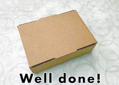 25 Pieces 9″ x 6″ x 3″ Corrugated Security Mailer Shipping Box