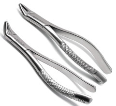 2 Pcs Dental Extracting Forceps 150S & 151S Upper Lower Molars Incisors Surgical