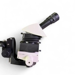 Leica M50 Stereo Microscope w/ Boom Stand, 10x/23 Eyepieces & 0.5x Objective