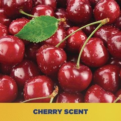 Zep Commercial 95124 1 gal. Cherry Bomb Hand Cleaner – Cherry (4/Carton) New