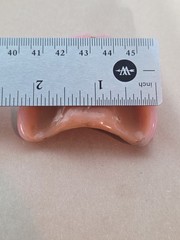 Dentures False Fake Teeth Upper Plate Dentist School Oddity Halloween Prop
