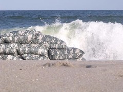 Sandbags Sand Bags Flood Erosion Barrier Hurricane Prep Army Military ACU Camo