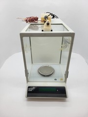 Mettler AE240 Digital Analytical Scale With Option 011 Data Output