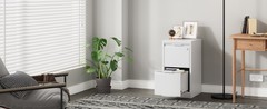 Metal 2 Drawer File Cabinet with Lock Storage 2 Drawer Filing Cabinet Vertical