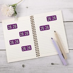 500Pcs 2026 Year Stickers, 3/4X1-1/2 Inch File Folder Labels 26 Year Colored Sel
