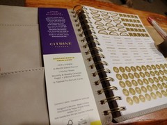 Citrine Planner academic year 26-27 Weekly/Monthly Spiral Faux Leather Planner