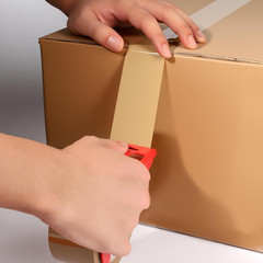 Brown Packing Tape 6 Rolls Heavy Duty Packing Tape with 1 Dispenser – 2.5Mil X 1