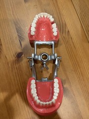 Kilgore Dental Typodont for Board Exam Practice with missing #13. Good for CDCA