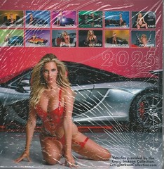 Paige Spiranac 2025 12 Month Wall Calendar Brand New Sealed in Shrink Wrap