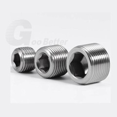 Stainless Steel Internal Hex Male Blanking Plug with BSPP, BSPT and NPT Threads