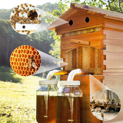 Bee Hive Boxes, Bee Hive Starter Kit – With 7 Flowing Bee Hive Frames