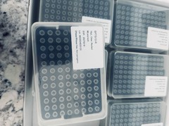 10 uL Clear DNase/RNase Free Non-pyrogenic Pipette Tips 10 Racks 96 Tips/Rack