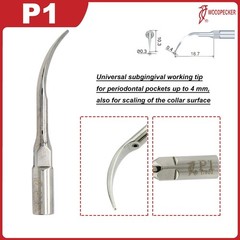 US Original Woodpecker Dental Scaler Tips Scaling Tip G1 G2 G4 P1 P3 For EMS