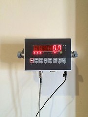 2000 X 0.5 LB 20×50 INCH LIVESTOCK ANIMAL SCALE PORTABLE VETERINARIAN CATTLE DOG