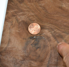 Walnut Burl Raw Wood Veneer Sheet 10 x 10.5 inches 1/42nd thick 4671-85