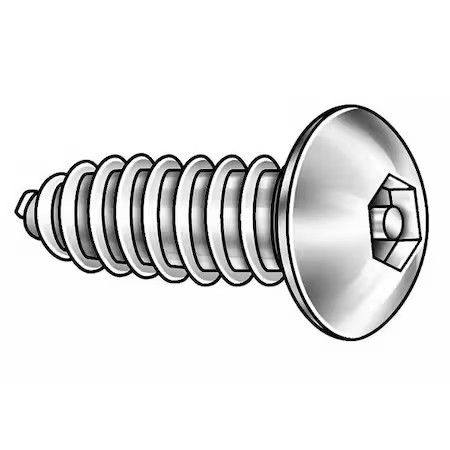 Tamper-Pruf Screws 31400 Tamper Resistant Screw, 3/4 In, Plain Finish, 18-8