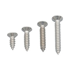550Piece 304 Stainless Steel Wood Screws Assortment Kit Phillips Flat Head Sheet