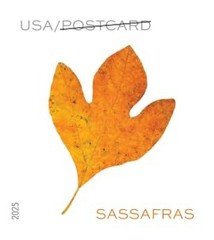 United States Postal Service Vibrant Leaves 2025 Postcard Rate 2 Sheets Of 20