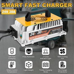 24 Volt 30A Forklift Battery Charger Single Phase Lead Acid Battery Fast Charger