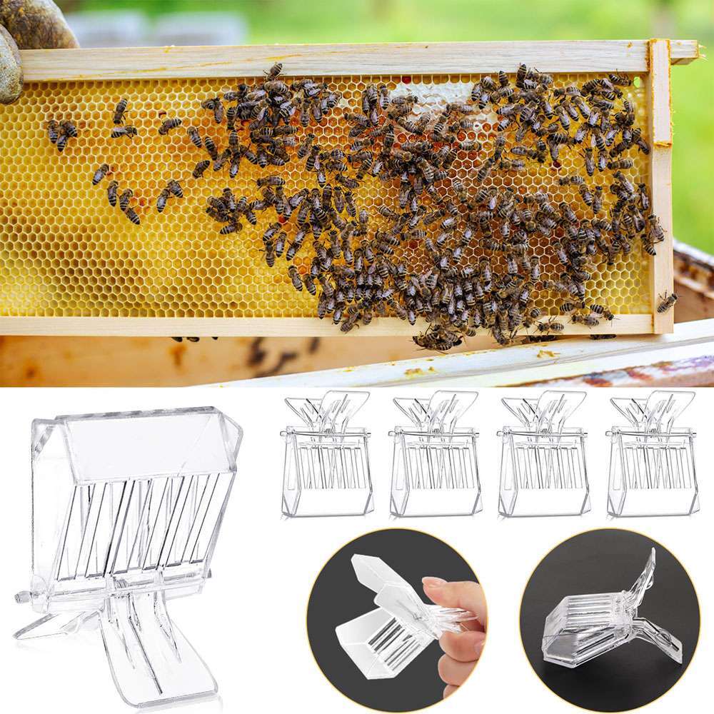 5PCS/Set Clear Queen Bee Catcher Clip Cage Catching Beekeeping Equipment Plastic
