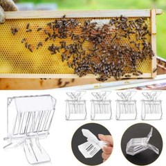 5PCS/Set Clear Queen Bee Catcher Clip Cage Catching Beekeeping Equipment Plastic