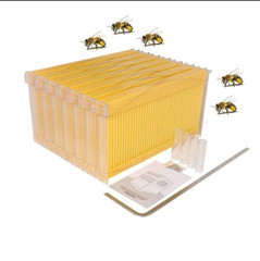 7 Auto Flow Honey Hive Beehive Frames for Auto Cedarwood Beekeeping Brood Boxes
