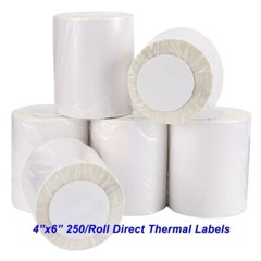 4″x6″ Direct Thermal Shipping Labels 250/Roll For Zebra Eltron LP2844 ZP450 UPS