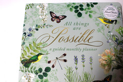 Punch Studio Nature’s Grace Butterflies Guided Planner 9.5″ x 11″ 96 pgs NEW