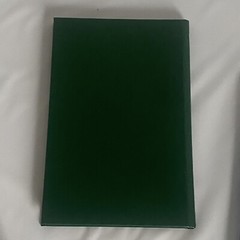 Cash Record S.E. LEDGER BOOK! NATIONAL BLANK BOOK CO. Eagle Line Vintage READ