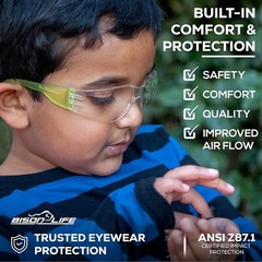 Crystal Kids Clear Lens Color Temple Variety Safety Glasses (Pack of 12)