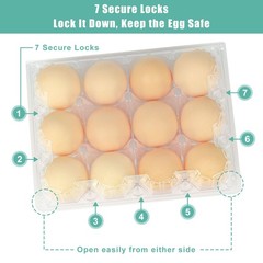 SINLUCESCE 100 Packs Egg Cartons Cheap Bulk，Plastic 3×4 ，100Pack, transparent