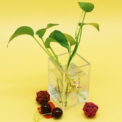 Compact 2.6-Inch Acrylic Holder Set for Stationery & Makeup – Modern Design