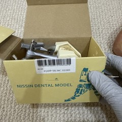 Kilgore typodont P15DP-TR.56C.1(GSD) Nissin Dental Model Dental