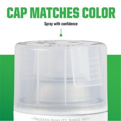 Rust-Oleum 1906830 Lacquer Spray Paint, 11 oz, 11 Ounce (Pack of 1), Clear,Spray