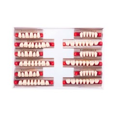 Dental Denture Acrylic Resin Teeth Upper Lower Anterior/Posterior Shade A1/A2/A3