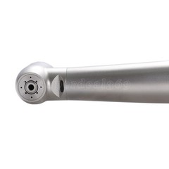 Dental Fiber Optic High Speed Handpiece /6Hole Quick Coupler for KAV MULTIflex