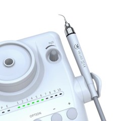 Dental Ultrasonic Scaler Scaling Perio Endo Endodontics LED Handpiece Auto Water