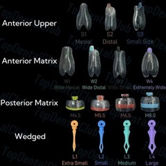 1Kit Dental Clear Matrix BT Bow Tranparent Matrices Fit BioClear Black Triangle